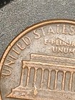 Foto 10 di 16