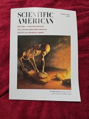 Scientific American Magazine August 1994 Neolithic Bones No Label
