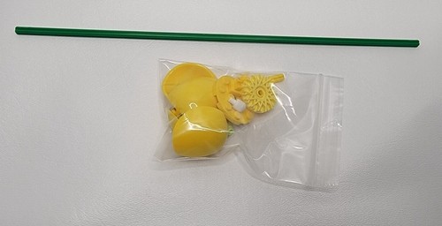*RESTOCK & UPDATE*Lego Individual Botanical Flowers, Plants, and Custom - Picture 60 of 181