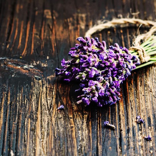 Autodiffusor, VENT CLIP, Car Freshies, Autodiffusoren, RIESIGE Auswahl an Düften - Bild 50 von 132