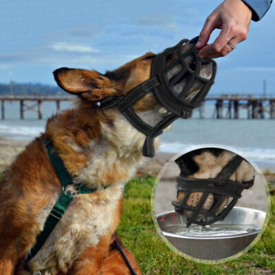 heavy duty muzzle
