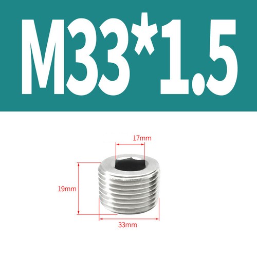 Edelstahl Innen Sechskant Stecker Ausblenden Stecker Kappe PT/NPT/BSP/Metrisch - Picture 61 of 66