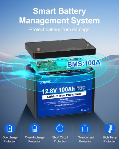12V 100Ah LiFePO4 Deep Lithium Akku Wiederaufladbar für Wohnmobil - Bild 5 von 8