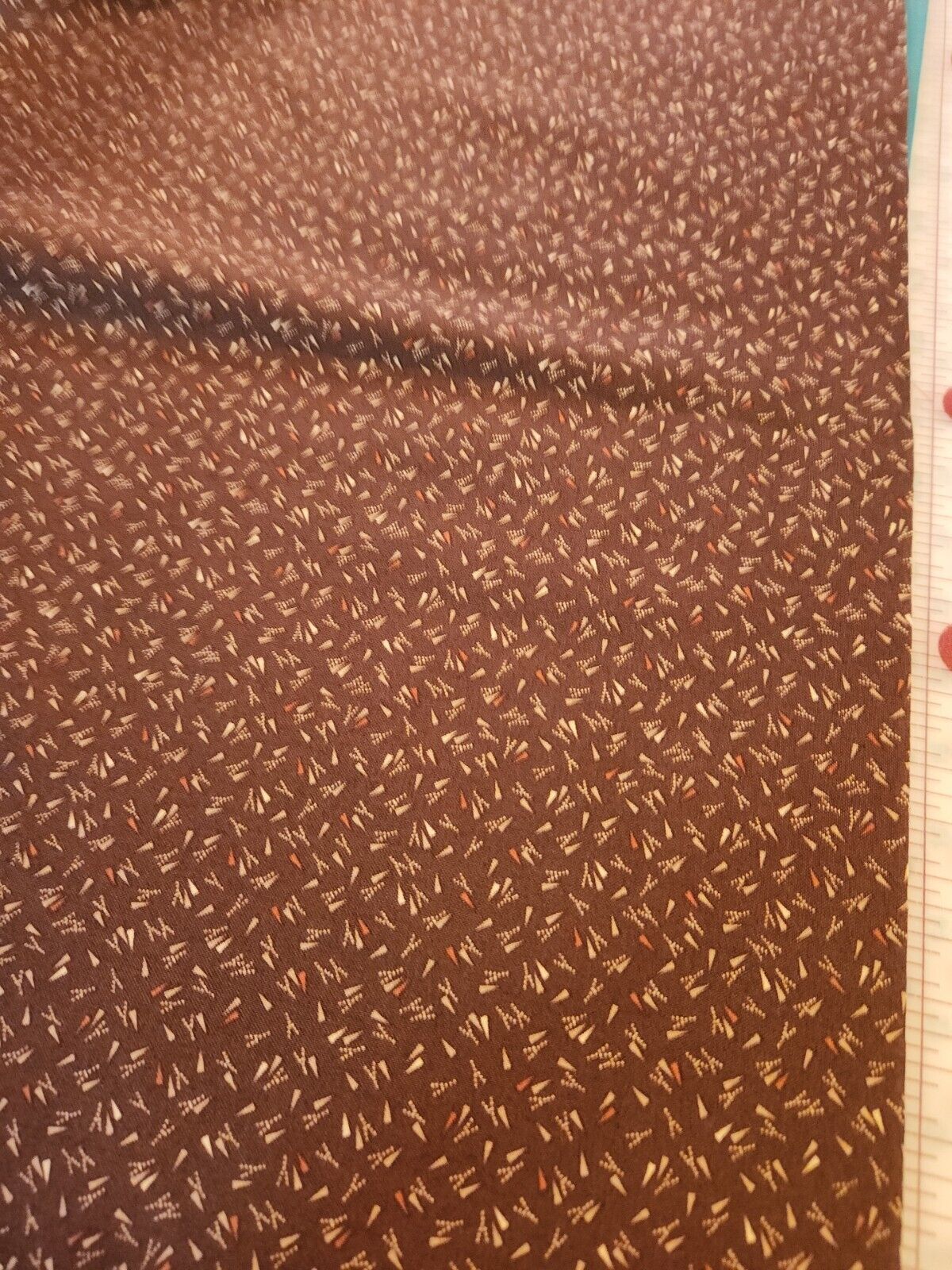 Picture 5 of 6