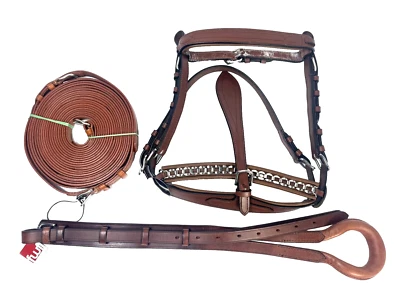 FWF Friedrich Wilhelm Pferde Zubehör Zügel Halfter Trense Harness Tail Crupper - Bild 1 von 4