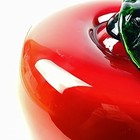 Bild 11 von 11