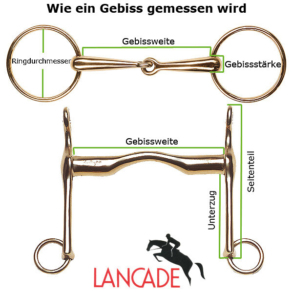 Bild 2 von 2