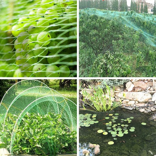 33FT Garden Anti Bird Bug Garden Netting Plant Fruit Barrier Mesh Protect Net US - Picture 31 of 67