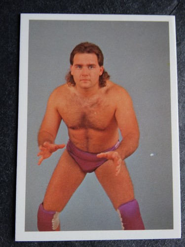 1988 Wonderama NWA Wrestling Cards Complete Your Set U Pick From List 201-343 - Picture 28 of 354