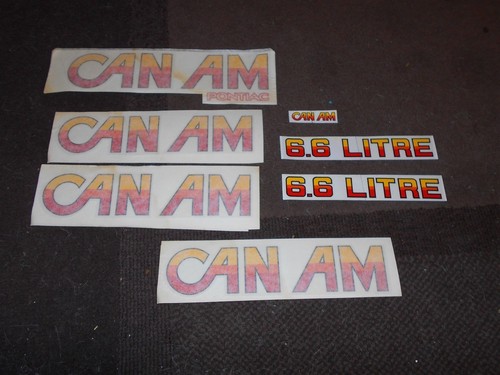1977 PONTIAC CAN AM 6.6 6.6L LITRE STRIPE AND DECAL LETTERING KIT SET NEW 7PC