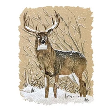 White Tail Deer in Wintry Forest - Printed Vinyl Decal Sticker - Car Truck RV