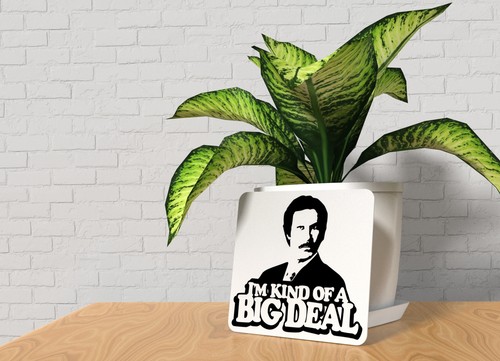 I'm Kind Of A Big Deal | Funny sign For Home or Office - Picture 3 of 4