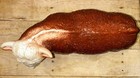 Bild 7 von 8
