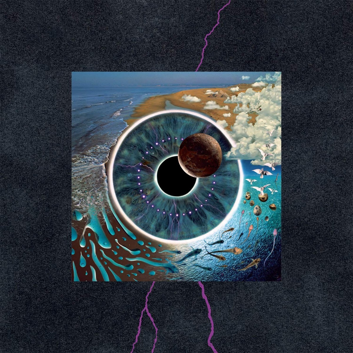 【4LP・Still Sealed】Pink Floyd / P.U.L.S.E s-l1200.jpg