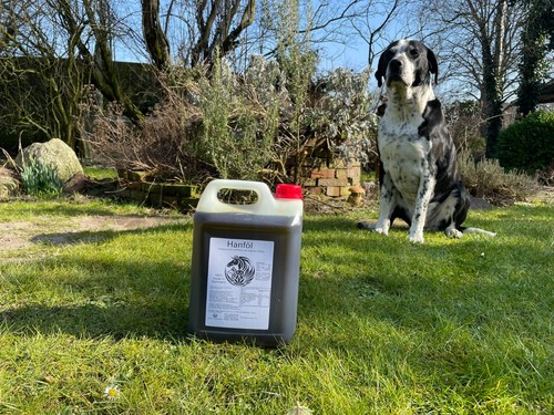 5L Hanföl für Pferde Hunde Katzen - aus deutscher Herstellung direkt vom Hof - Bild 2 von 5