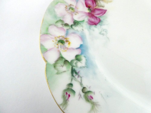 Plato de rosas silvestres vintage Tressemanes y Vogt pintado a mano 9,5 pulgadas Limoges TV - Imagen 7 de 16