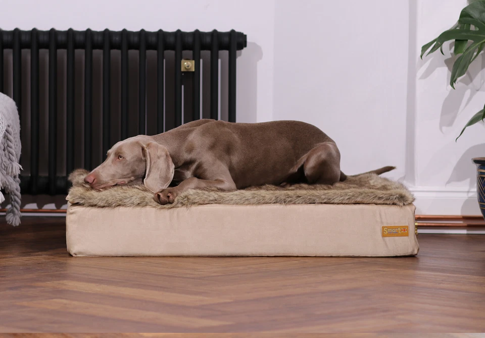 Smart Pet Beds - Dog/Cat - High Quality - Natural - Handmade - MATTRESS ONLY - Image 4 of 4