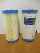 PENTEK Pleated Filter Cartridge, 20 Microns, 20 gpm, Cellulose Polyester, (2PK)