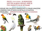 Foto 7 di 7