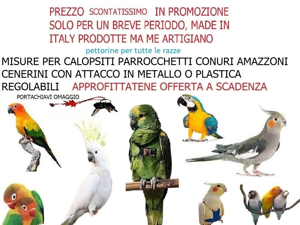 Foto 7 di 7