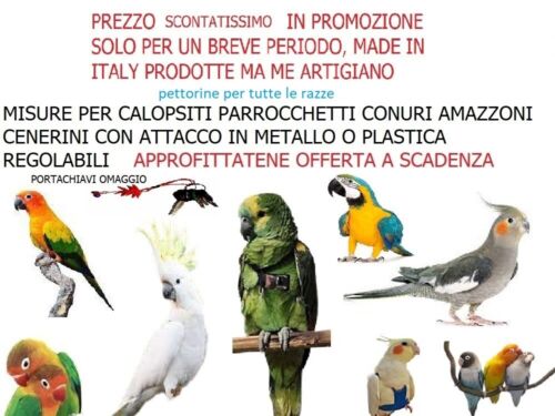 Pettorina pappagalli ROSSO ARANCIO elastica collo 3MM DA COCORITE AD AMAZZONE - Foto 7 di 7