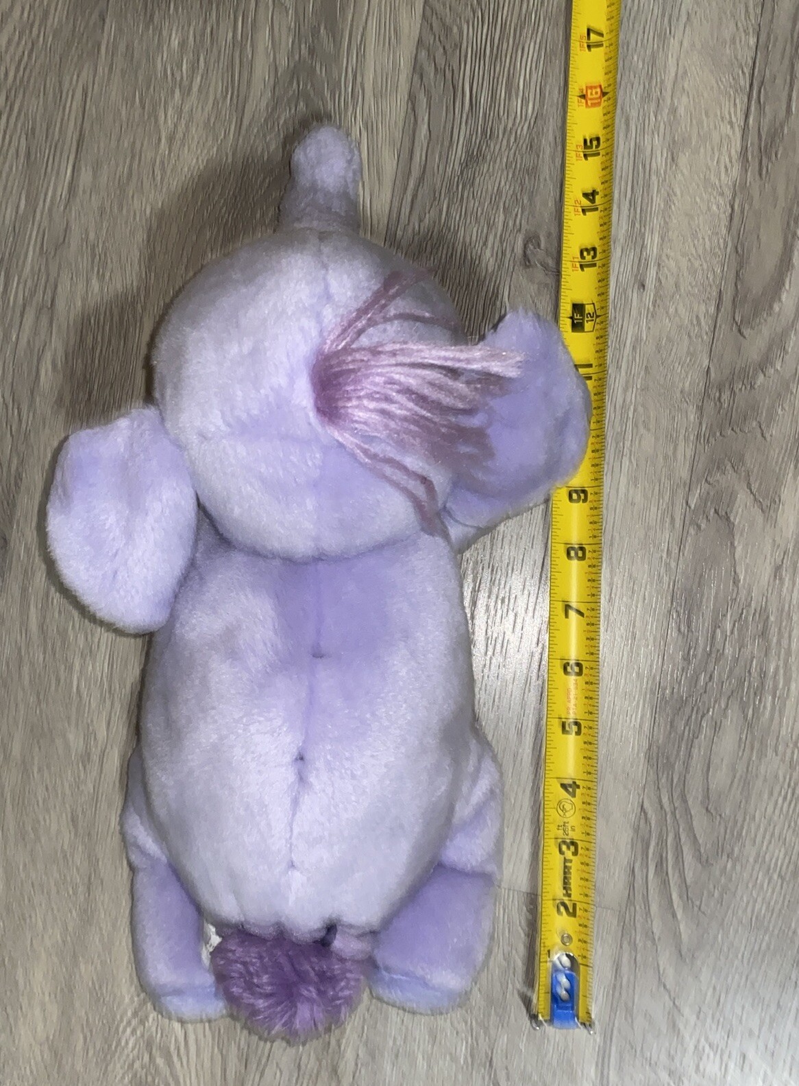 Foto 6 di 9