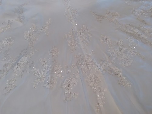 Lady Roi Wedding Dress Size 6 - Picture 14 of 24