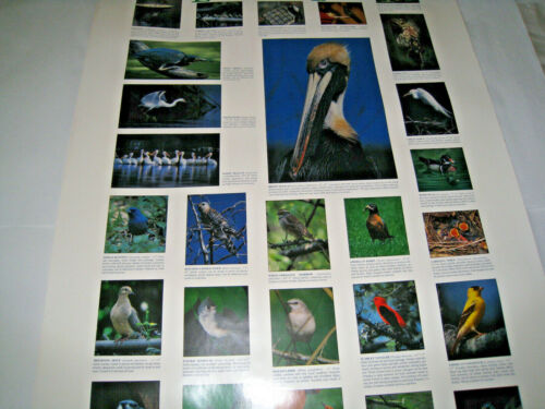 1999 Signed Poster C C Lockwood's Louisiana Birds Baton Rouge Earth Day 24/36 - Picture 2 of 10