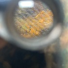 Foto 8 di 23