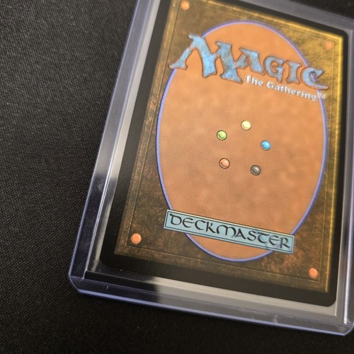 MTG Multiversal Passage 206 Borderless Regular Rare Spider-Man SPM - Picture 11 of 12