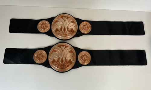 2 x WWE Tag Team World Heavyweight Champion Title Belt Mattel Kinder Replica Spielzeug