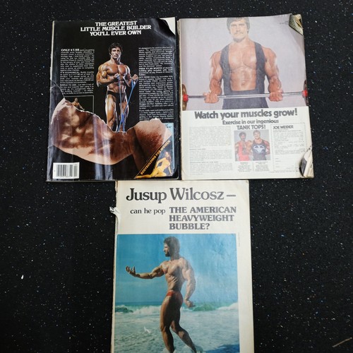 Vintage Joe Weider’s Muscle & Fitness Bodybuilding Magazine Lot of 26 1979 1984 - Imagen 8 de 8