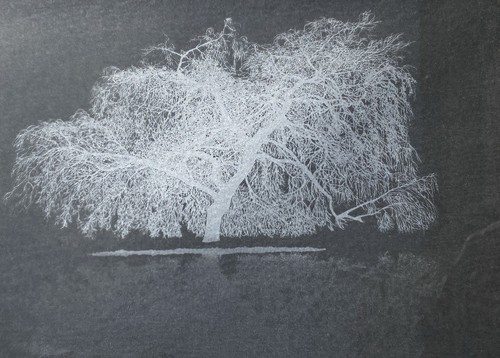 Limited Edition Serigraph Silkscreen Screen print A. Harley Willow Tree Large - Picture 4 of 22
