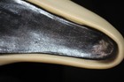 Bild 4 von 20