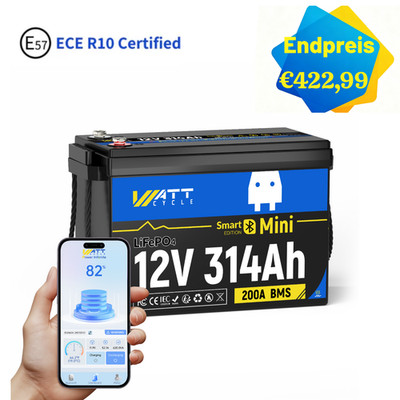 12V 300Ah Bluetooth LiFePO4 Lithium Batterie 200A BMS Bluetooth für RV Solar