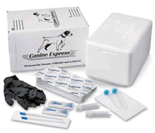 LOT OF 4 NEXT GENERATION CANINE EXPRESS DISPOSABLE SEMEN TRANSPORTS 101K9 - Picture 2 of 12