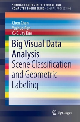 Big Visual Data Analysis, Chen Chen