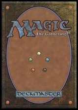 MTG Plains (0888) - Rainbow Foil, NM-Mint, English Secret Lair Drop Series