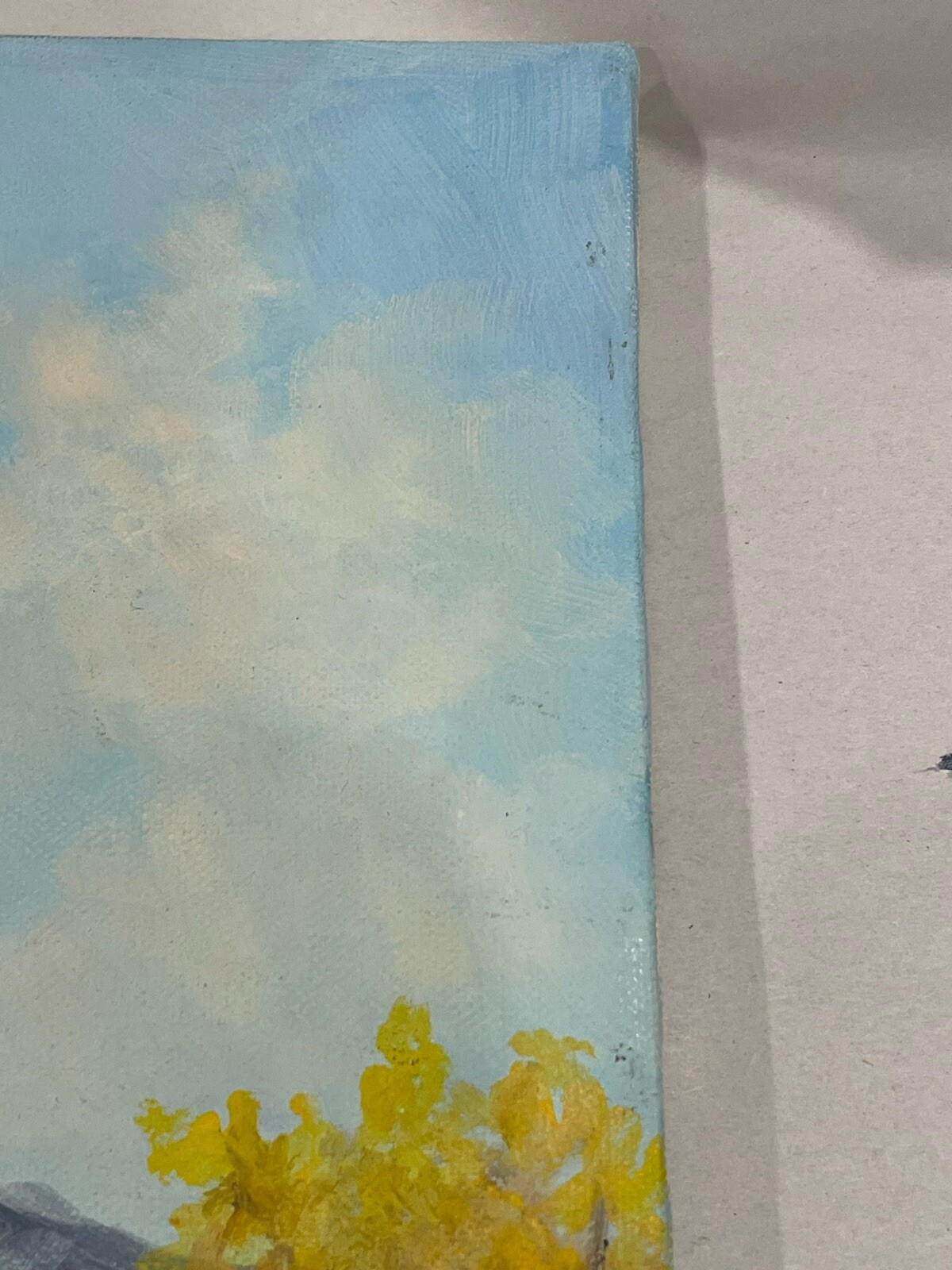 Picture 11 of 12