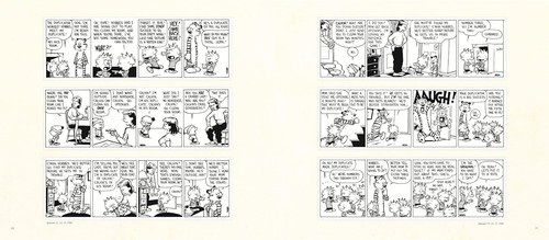 The Complete Calvin and Hobbes , the entire body of Bill Watterson's work. Books - Picture 5 of 15