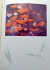 Bild 16 von 22