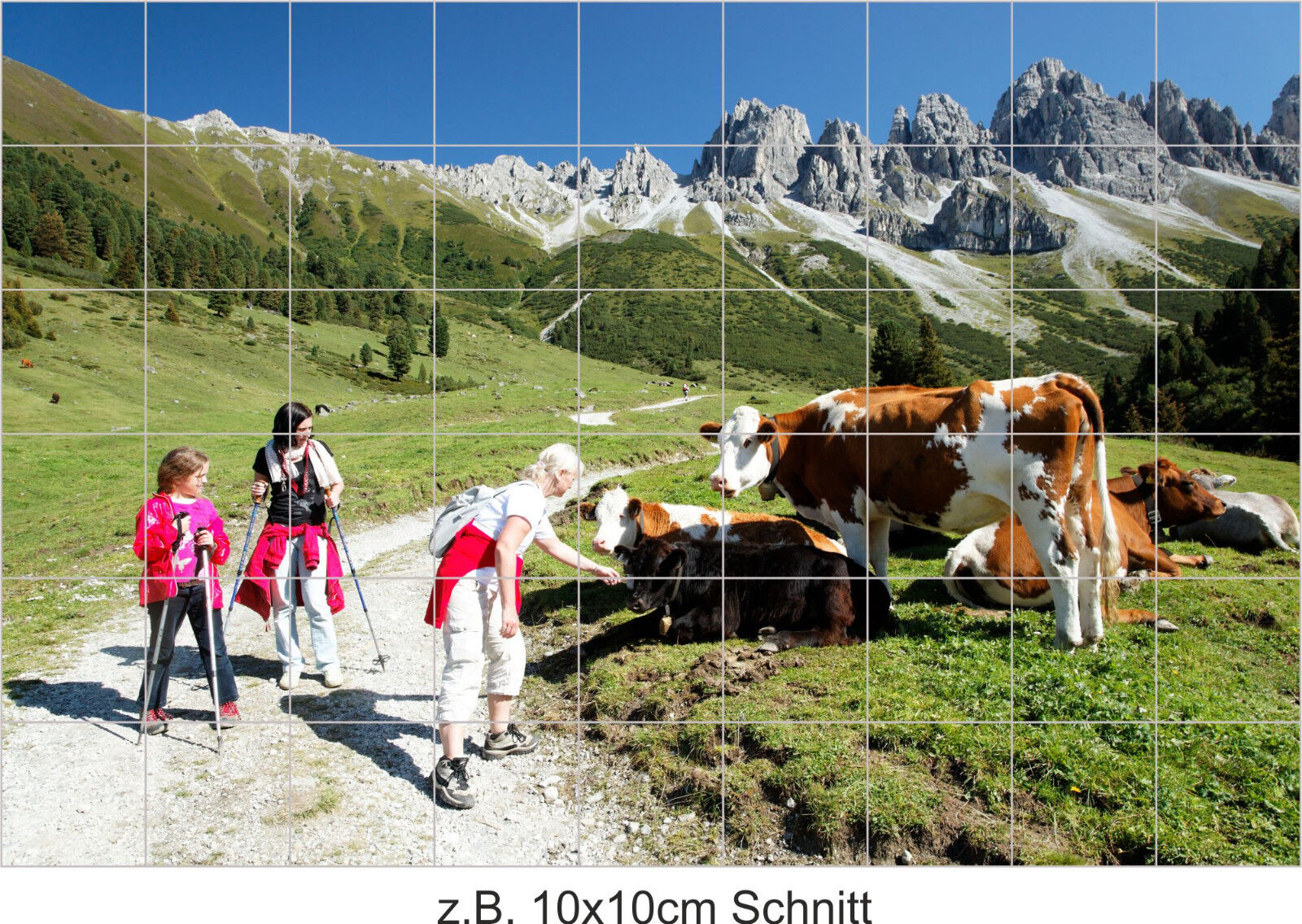 Bild 3 von 9