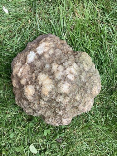 12 Lb + Indiana Geode  Crystals , minerals,fossil   Intact Jewelry Lapidary - Picture 1 of 4
