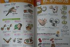 Foto 11 di 11