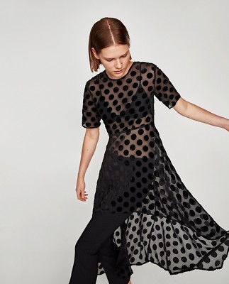 Sheer polka best sale dot dress zara
