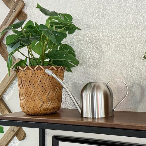 IMEEA Pequeña regadera para plantas de interior acero inoxidable bonsái riego ca... - Imagen 4 de 9