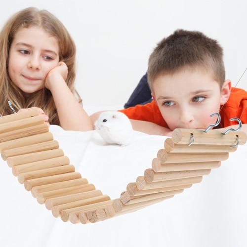 Kleines Haustier Kletterspielzeug Hamster Vogel Spielzeug Chinchilla Kauspielzeug - Bild 4 von 12