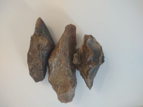 Florida Georgia Alabama Artifact 3 Paleo Archaic Coral Tools - Picture 4 of 7