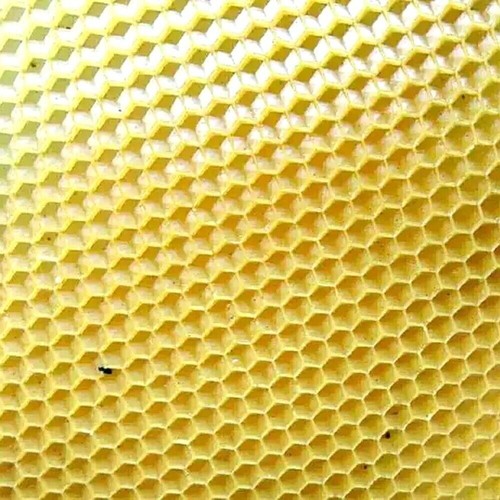 Wasserkühlende Bienenwachs Foundation Maschine Silikonzellen Imkerei Foundation - Bild 11 von 36
