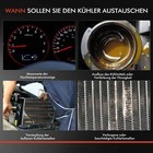 Bild 7 von 8